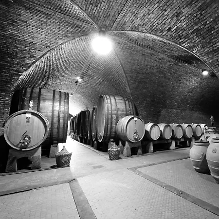 Borgo Antico Casalbosco & Winery Santomato